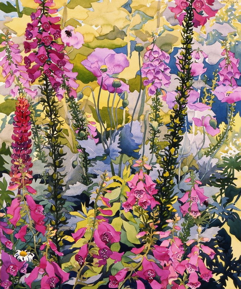 Have med Foxgloves (akvarel på papir) af Christopher Ryland