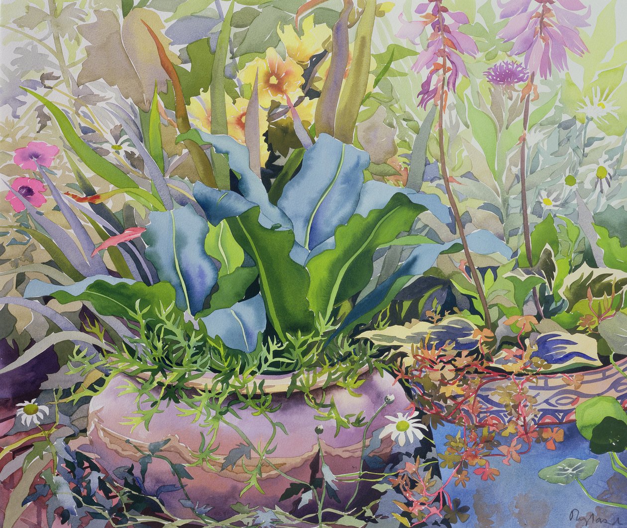 Have med planter, 2000 (wc på papir) af Christopher Ryland