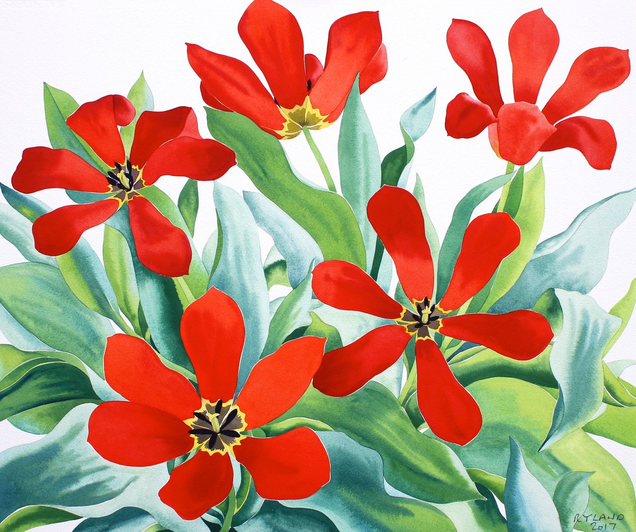 Madame Lefeber Tulipaner 2 (akvarel på papir) af Christopher Ryland