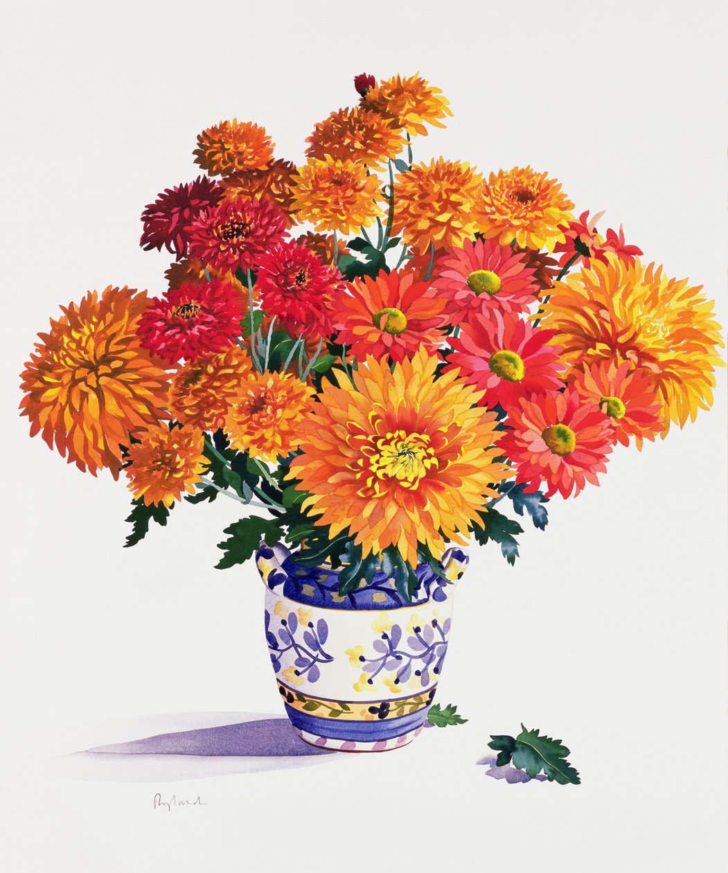 Oktoberkrysantemum (wc på papir) af Christopher Ryland