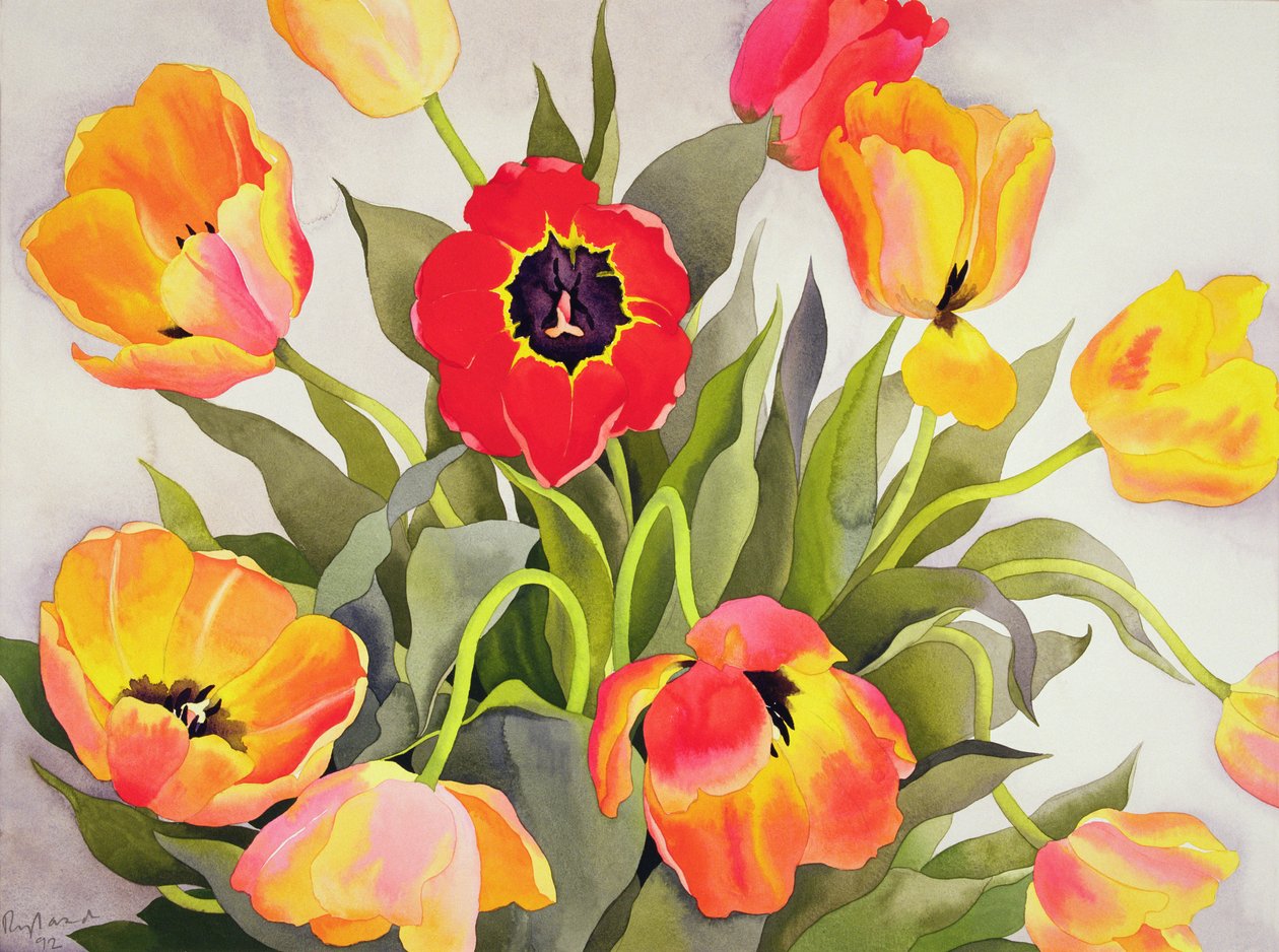 Orange og røde tulipaner (wc) af Christopher Ryland