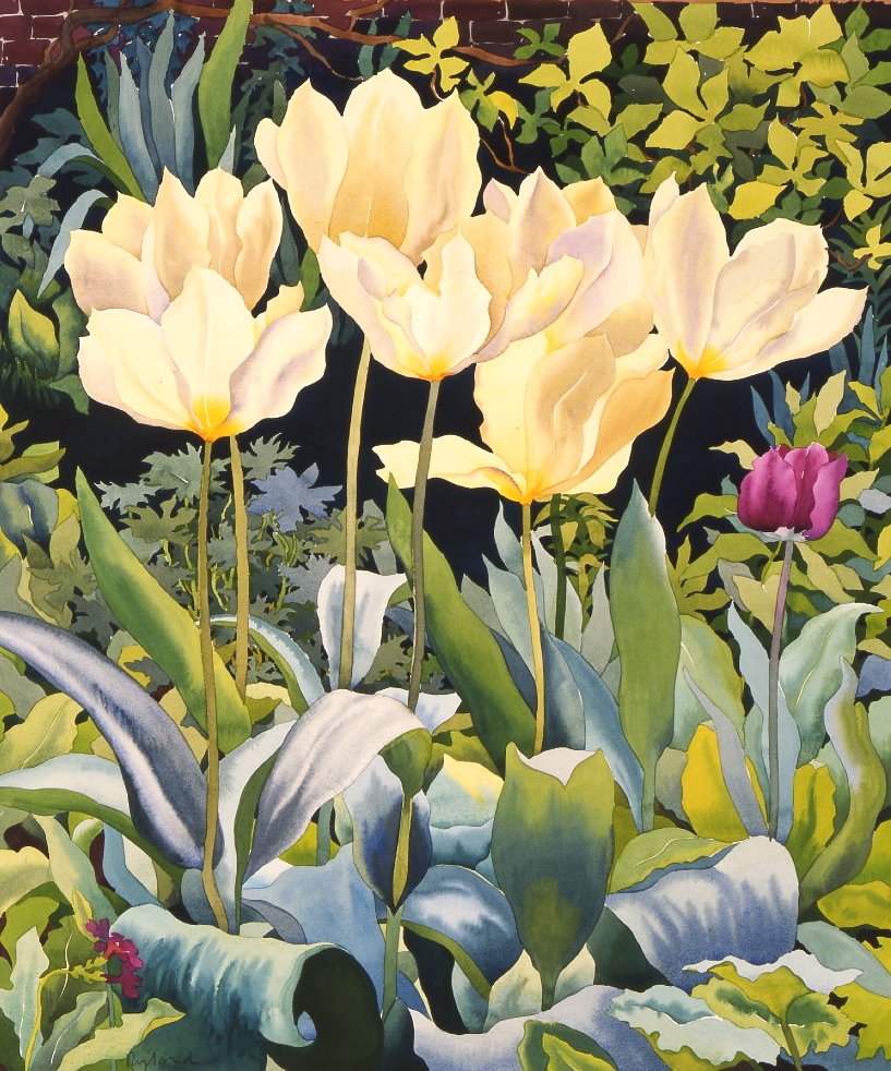 Pale Tulips (akvarel på papir) af Christopher Ryland