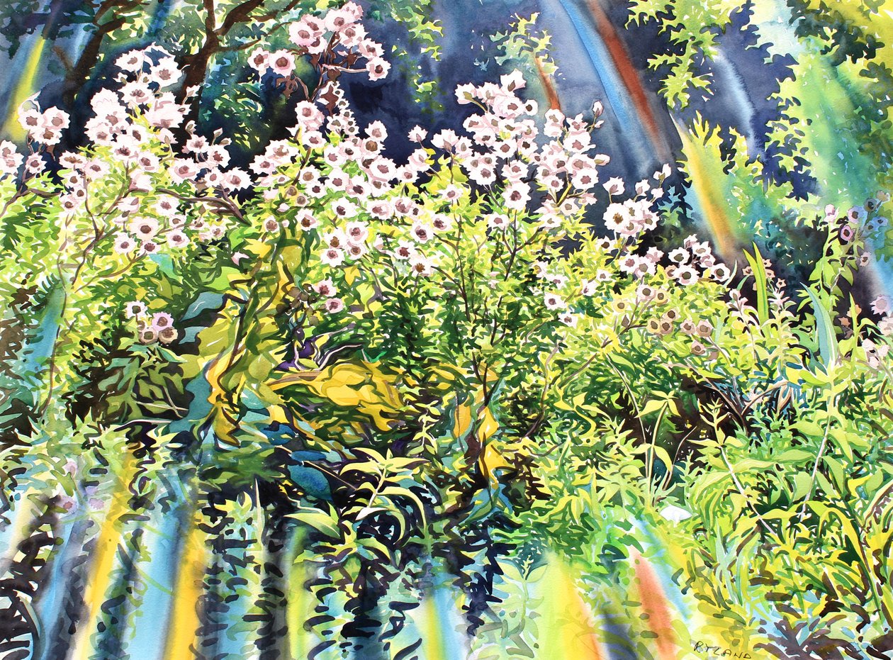 Thistledown, 2016 (akvarel på papir) af Christopher Ryland
