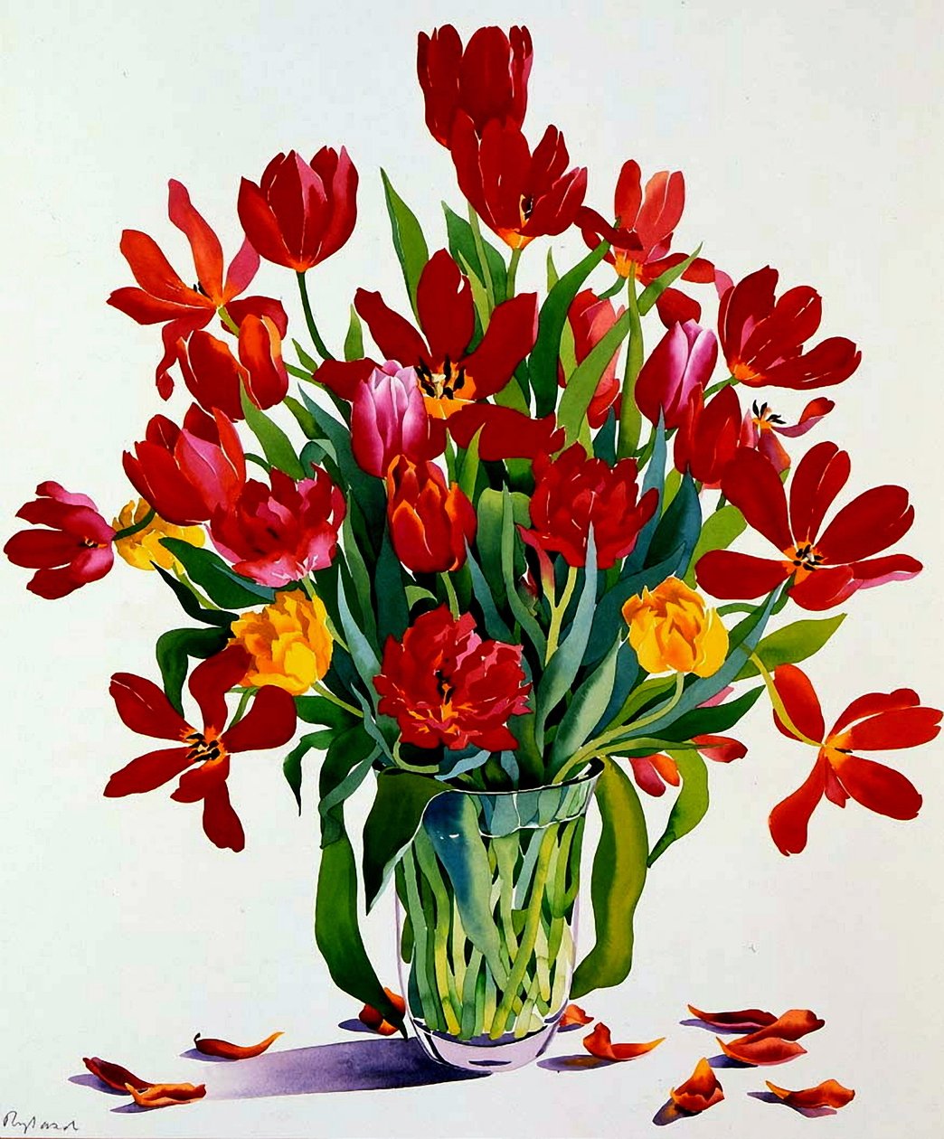 Tulipaner (wc på papir) af Christopher Ryland