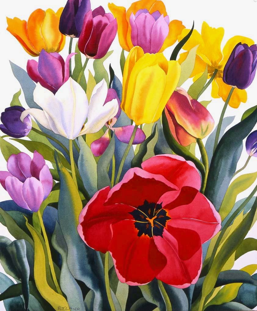 Tulipaner, 2007 (akvarel på papir) af Christopher Ryland