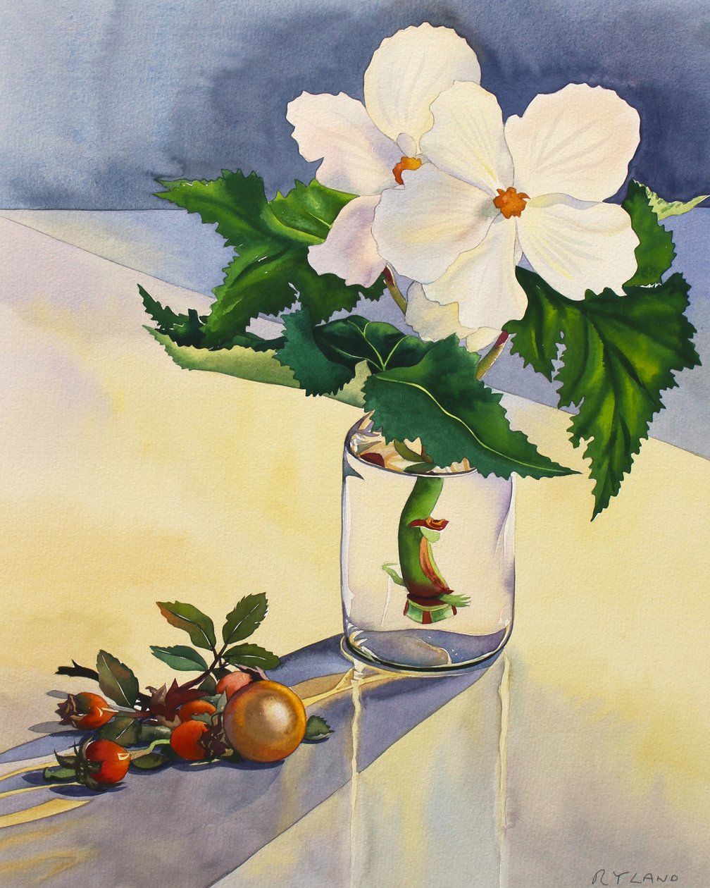 Hvid Begonia og hyben af Christopher Ryland