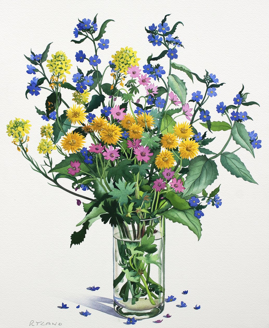 Vilde blomster med Alkanet, 2021 (akvarel på papir) af Christopher Ryland