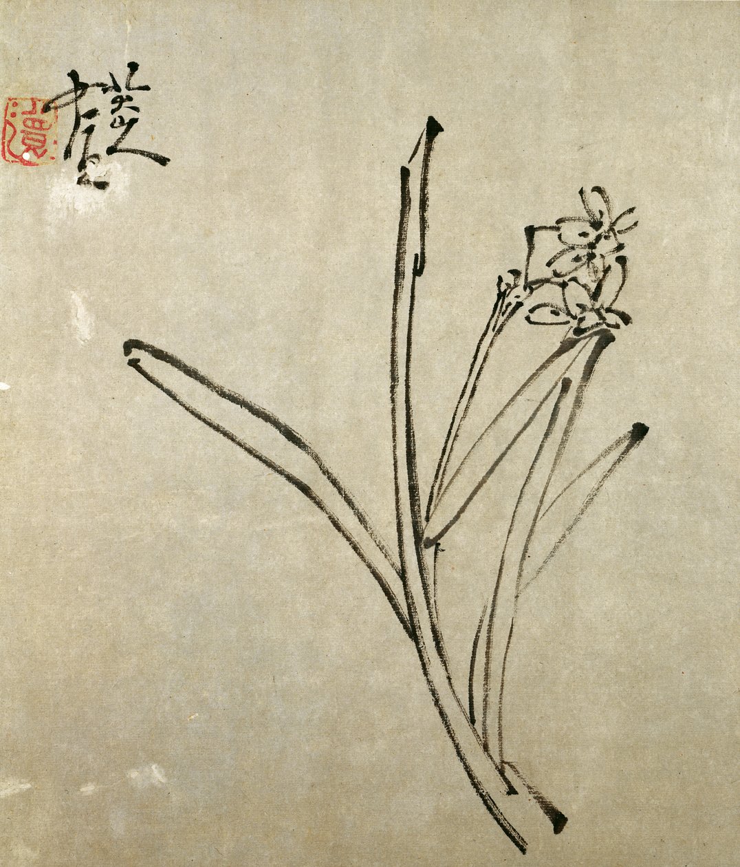 Narcissus (blæk på papir) af Chu Ta