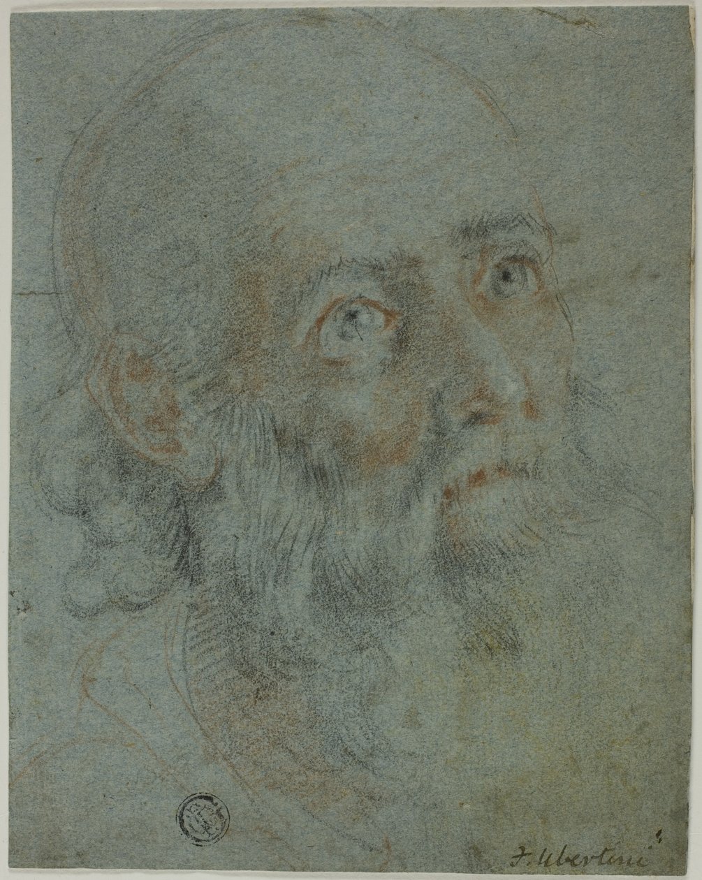 Leder af en skægget mand, ser op til højre: Studie for Saint Catherine of Alexandria, der disputerer med de hedenske præster af Cigoli