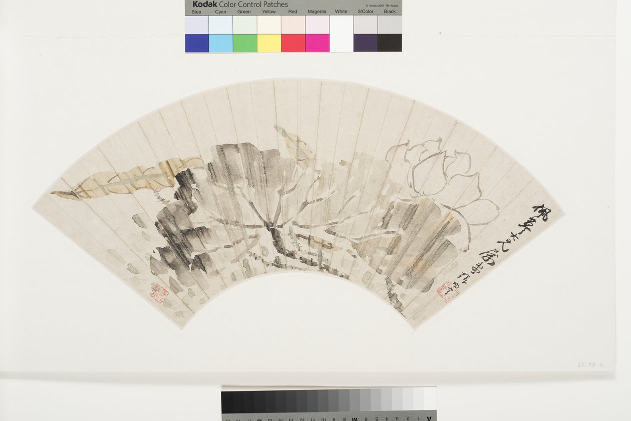 Lotus Blossom and Leaves, tidligt i det 19. århundrede (blæk & lyse farver på glimmer-flettet papir monteret om bord) af Cining Zhang