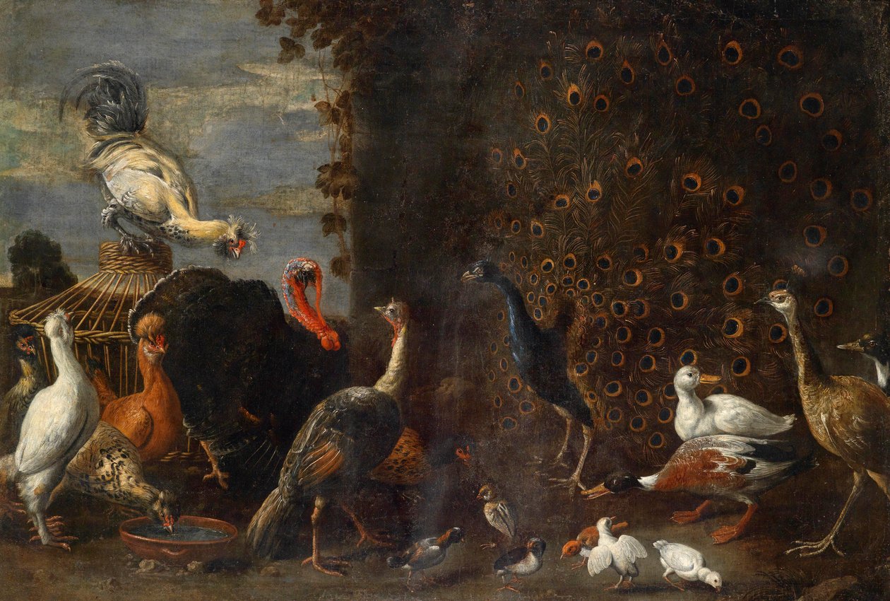 Kyllingegård med påfuglkalkun og ænder af Circle of Adriaen van Utrecht