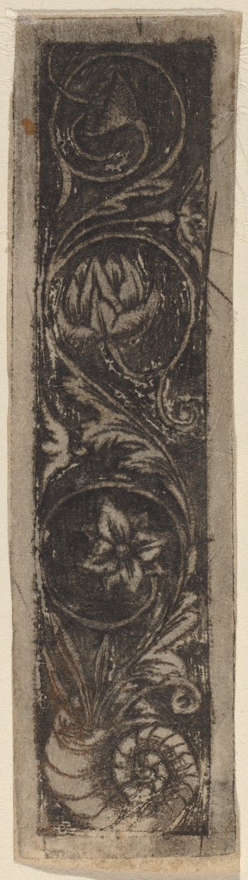 Aflangt ornamentpanel af Circle of Francesco Francia