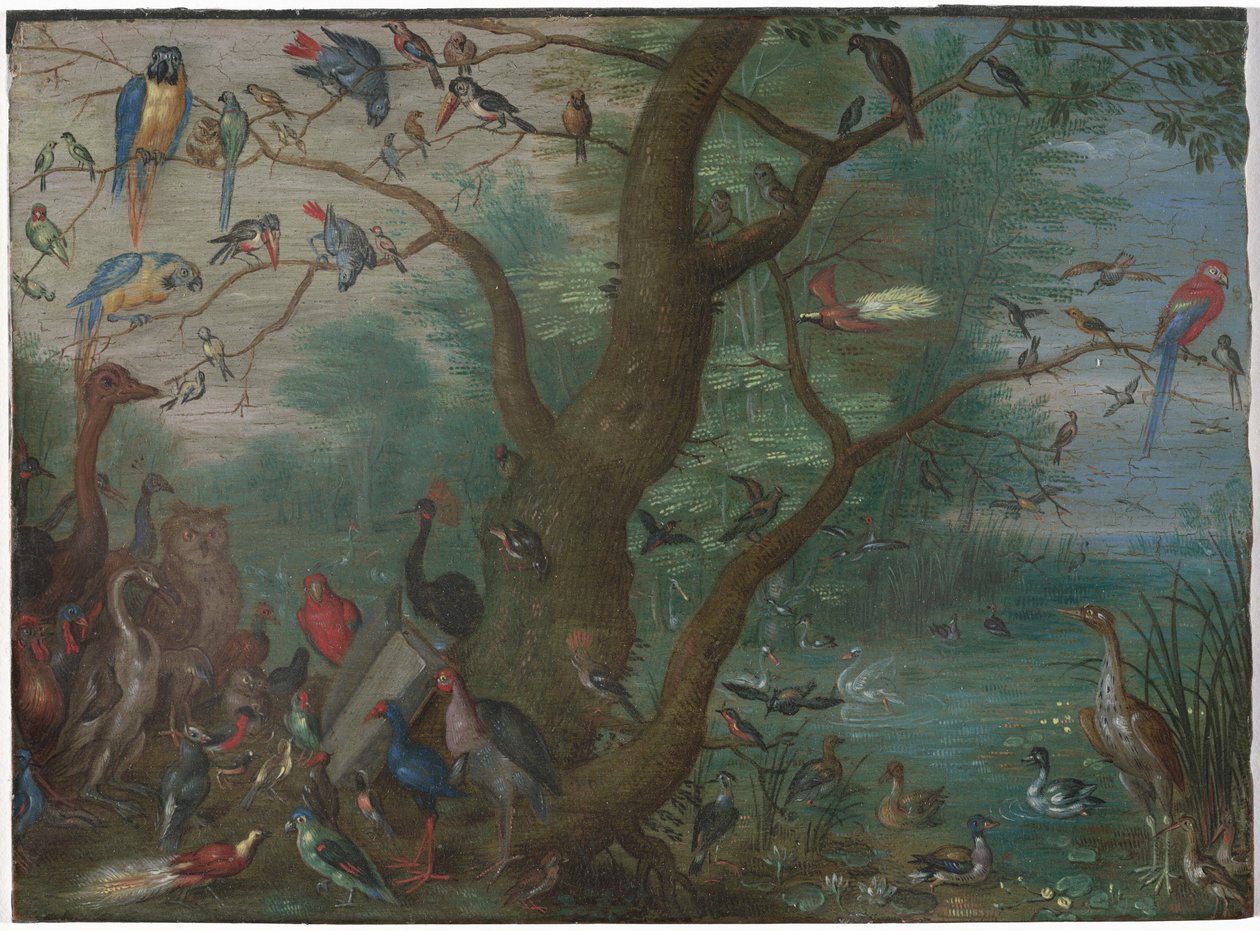 Koncert af fugle af Circle of Jan van Kessel the Elder