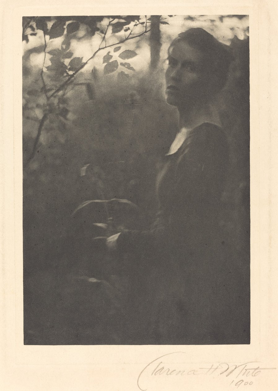 Edge of the Woods, Aften af Clarence H. White