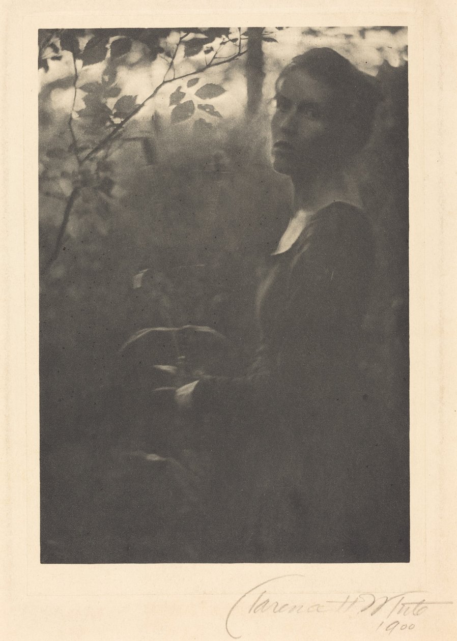 Kanten af skoven, aften,1900 (foto) af Clarence Henry White