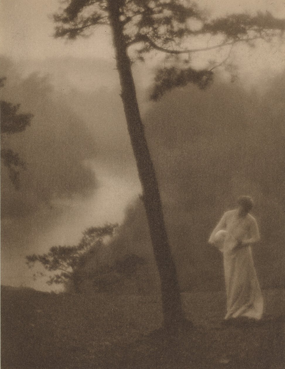 Morgen, ca. 1905 (foto) af Clarence Henry White