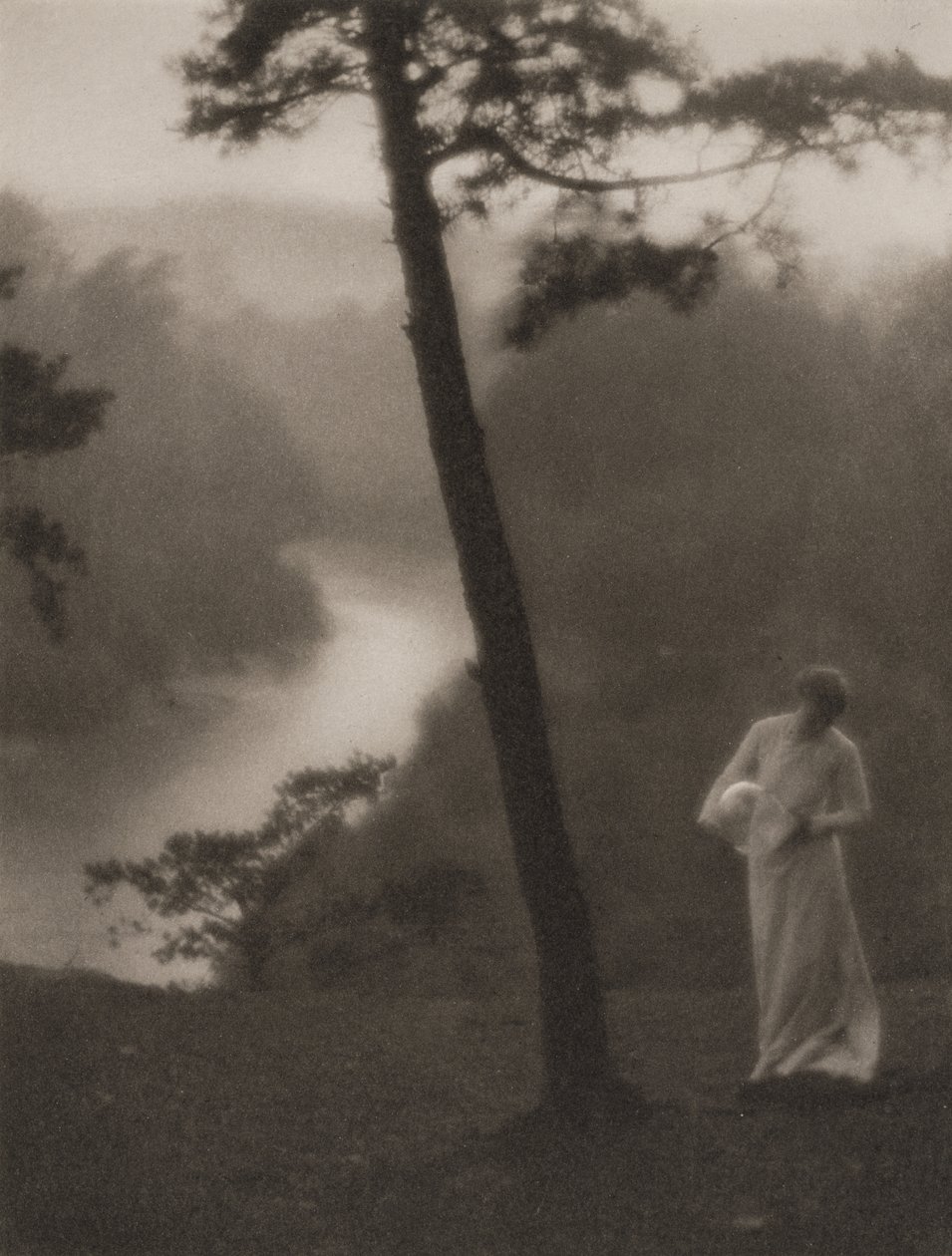 Morgen, udgivet juli 1908 (fotogravure) af Clarence Hudson White
