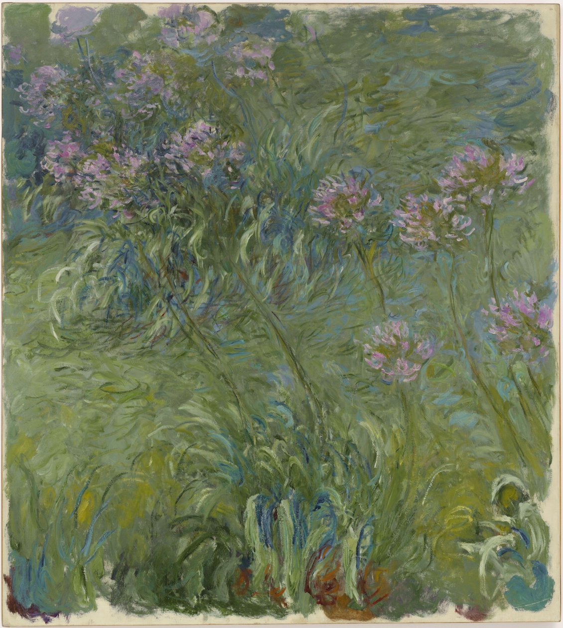 Agapanthus af Claude Monet