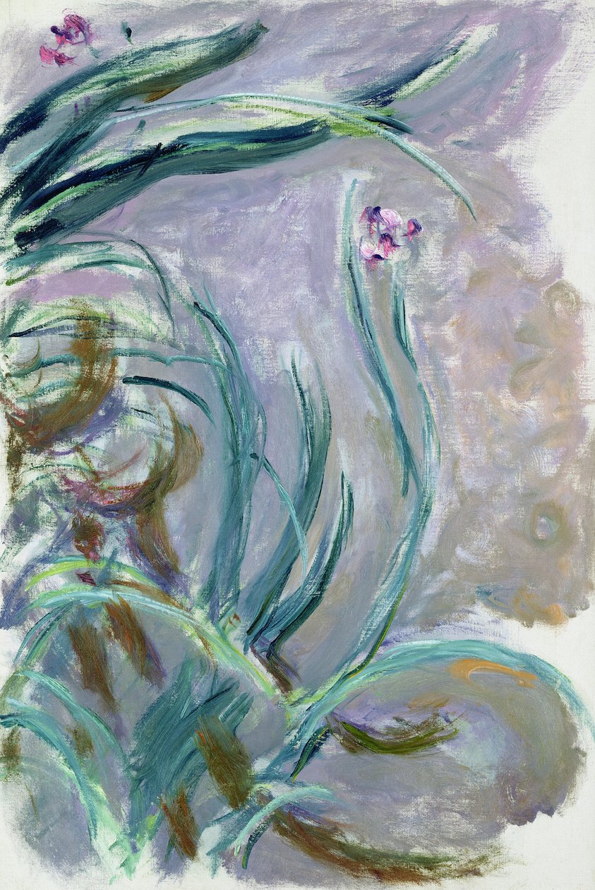 Iris, 1924-25 af Claude Monet