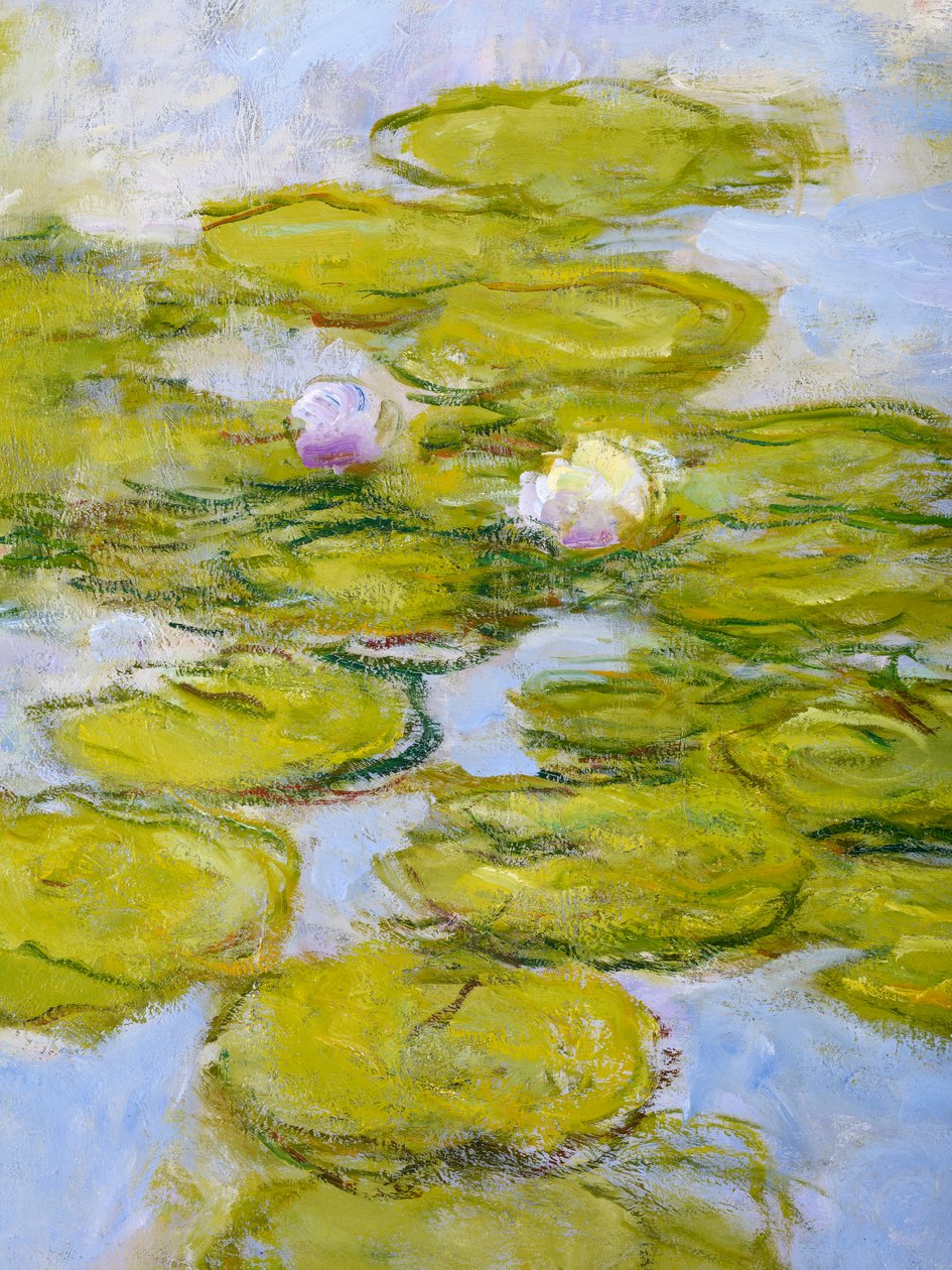 Nympheas, 1916-19 (detalje af 377597) af Claude Monet