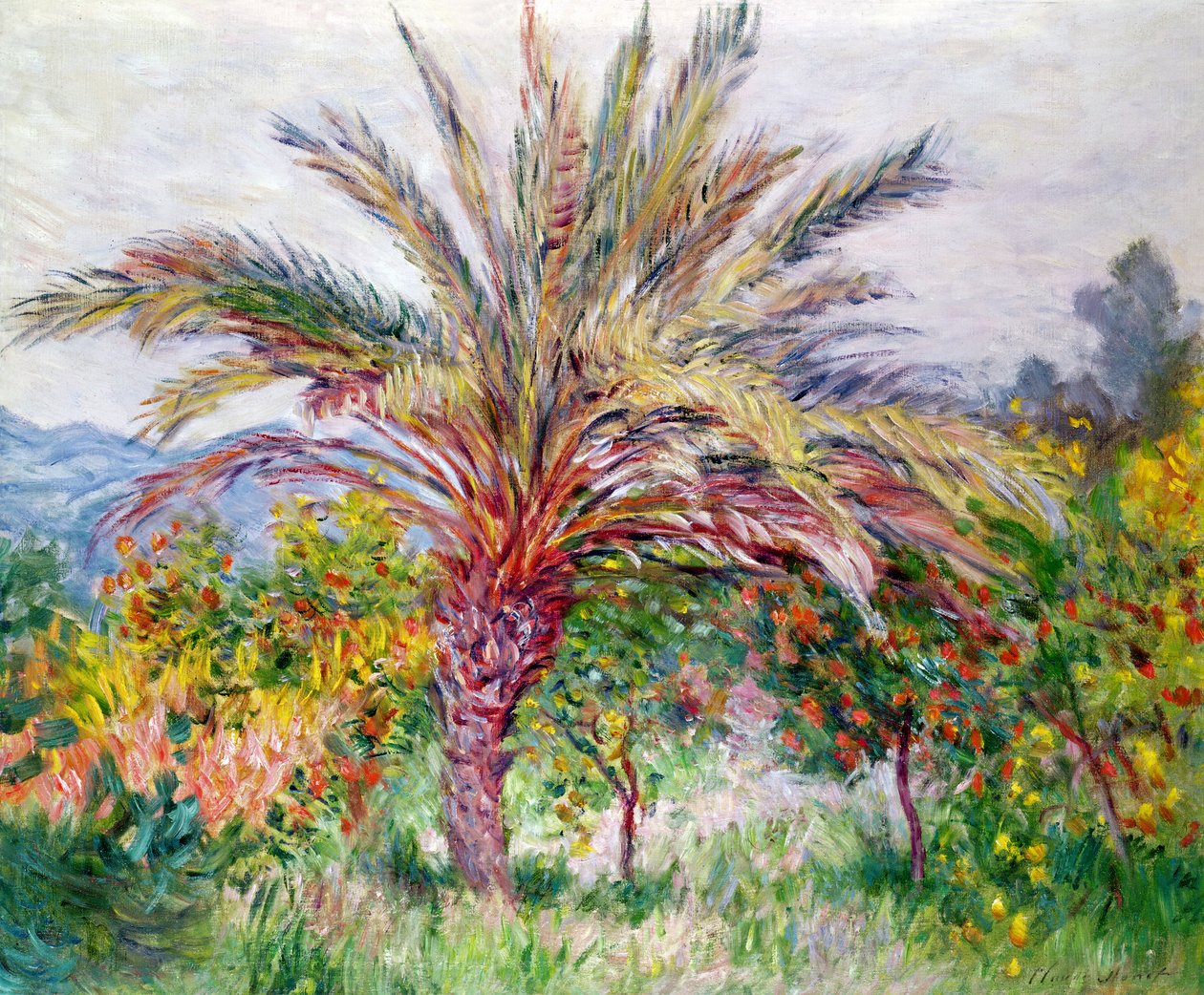 Palme ved Bordighera, ca. 1884 af Claude Monet