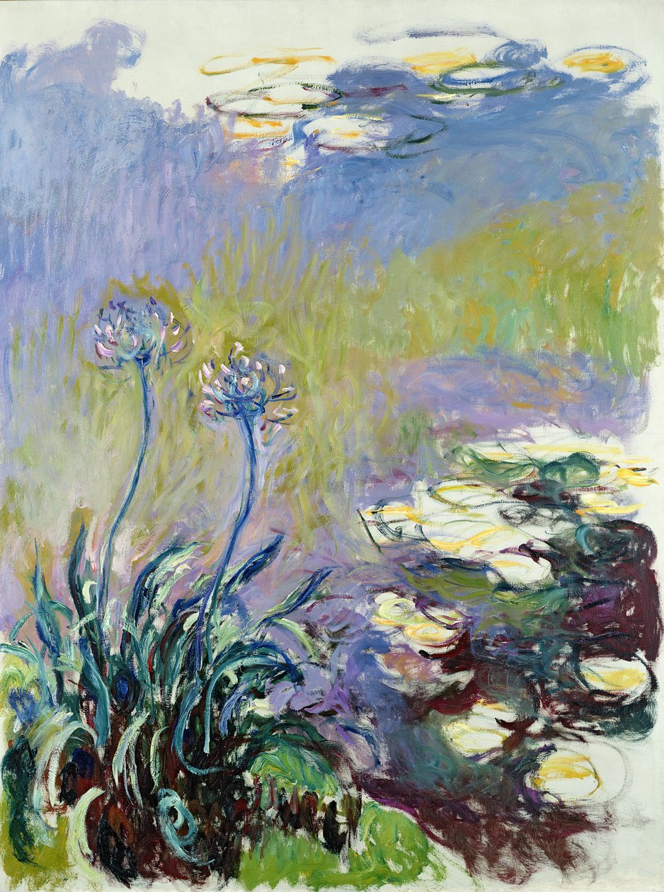 Agapanthus, 1914-17 af Claude Monet