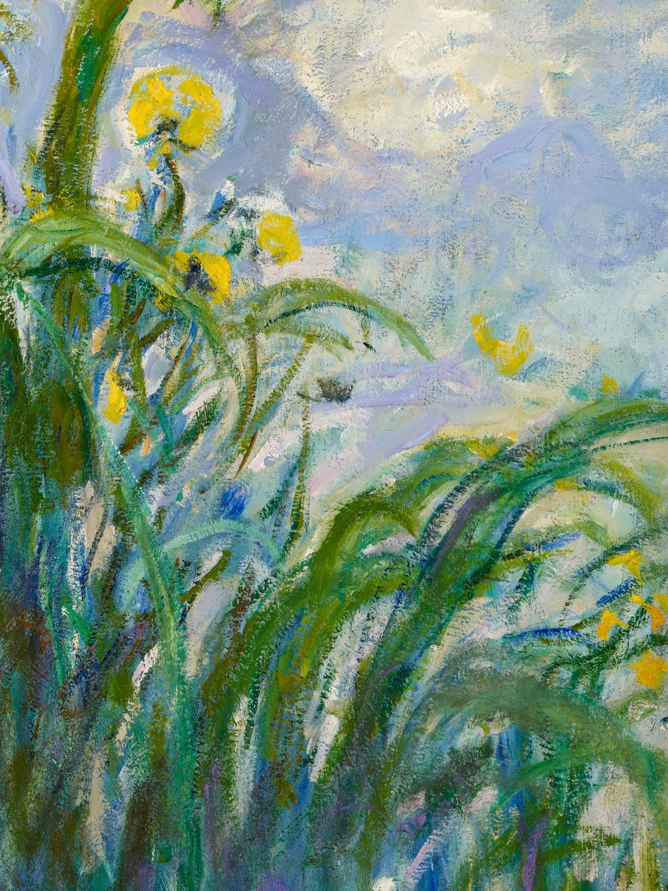 Den gule iris detalje af 154652 olie på lærred af Claude Monet