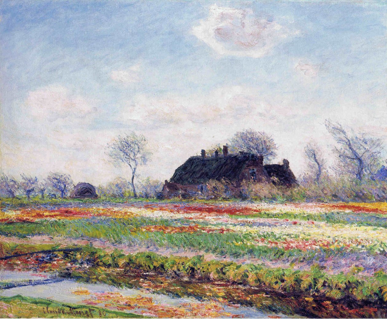 Tulipanmarker i Sassenheim af Claude Monet