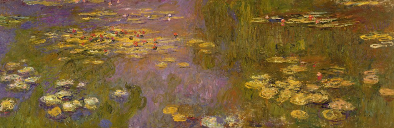 Åkander (Nymphéas), c.1915-26 af Claude Monet