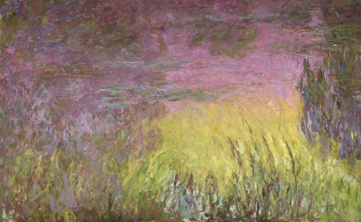 Åkander ved solnedgang, 1915-26 (detalje af venstre side) af Claude Monet
