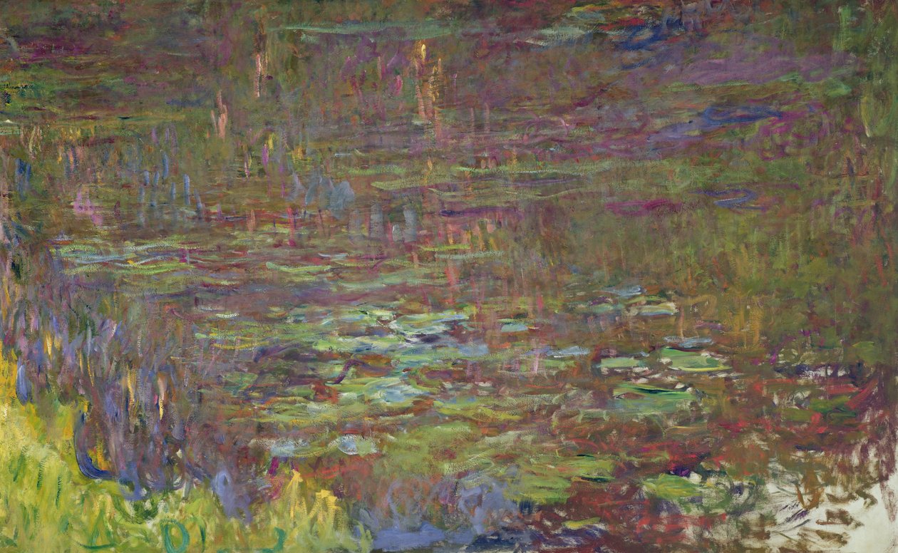 Åkander ved solnedgang, detalje fra højre side, 1915-26 af Claude Monet