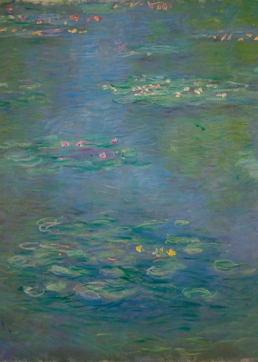 Åkander, detalje, 1903 (se også 160198) af Claude Monet