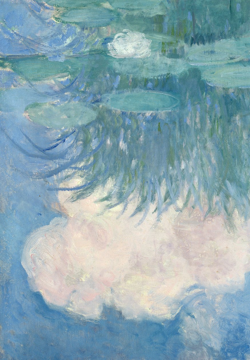 Åkander, detalje, 1914-17 (se også 82318) af Claude Monet