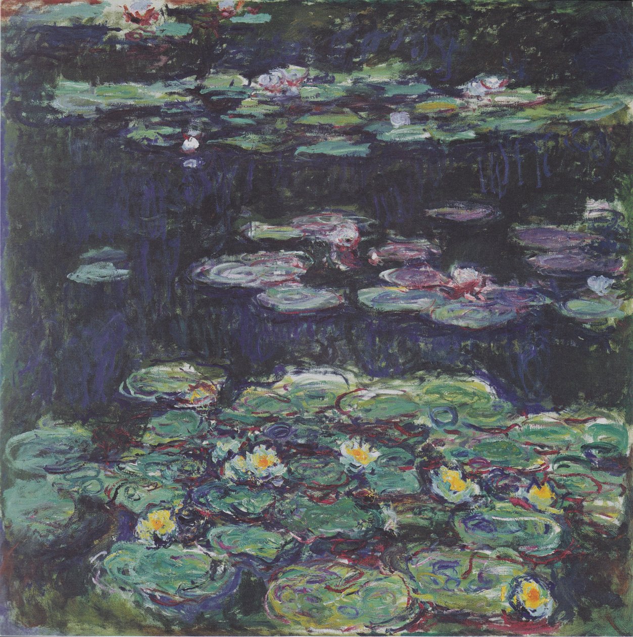 Hvide og gule åkander af Claude Monet