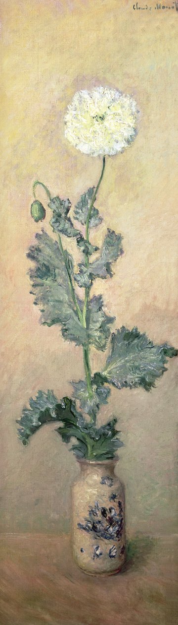 Hvid valmue, 1883 af Claude Monet