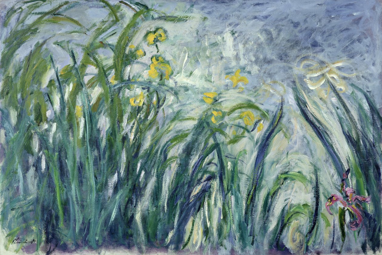 Gule og lilla iriser, 1924-25 (se detalje 414407) af Claude Monet