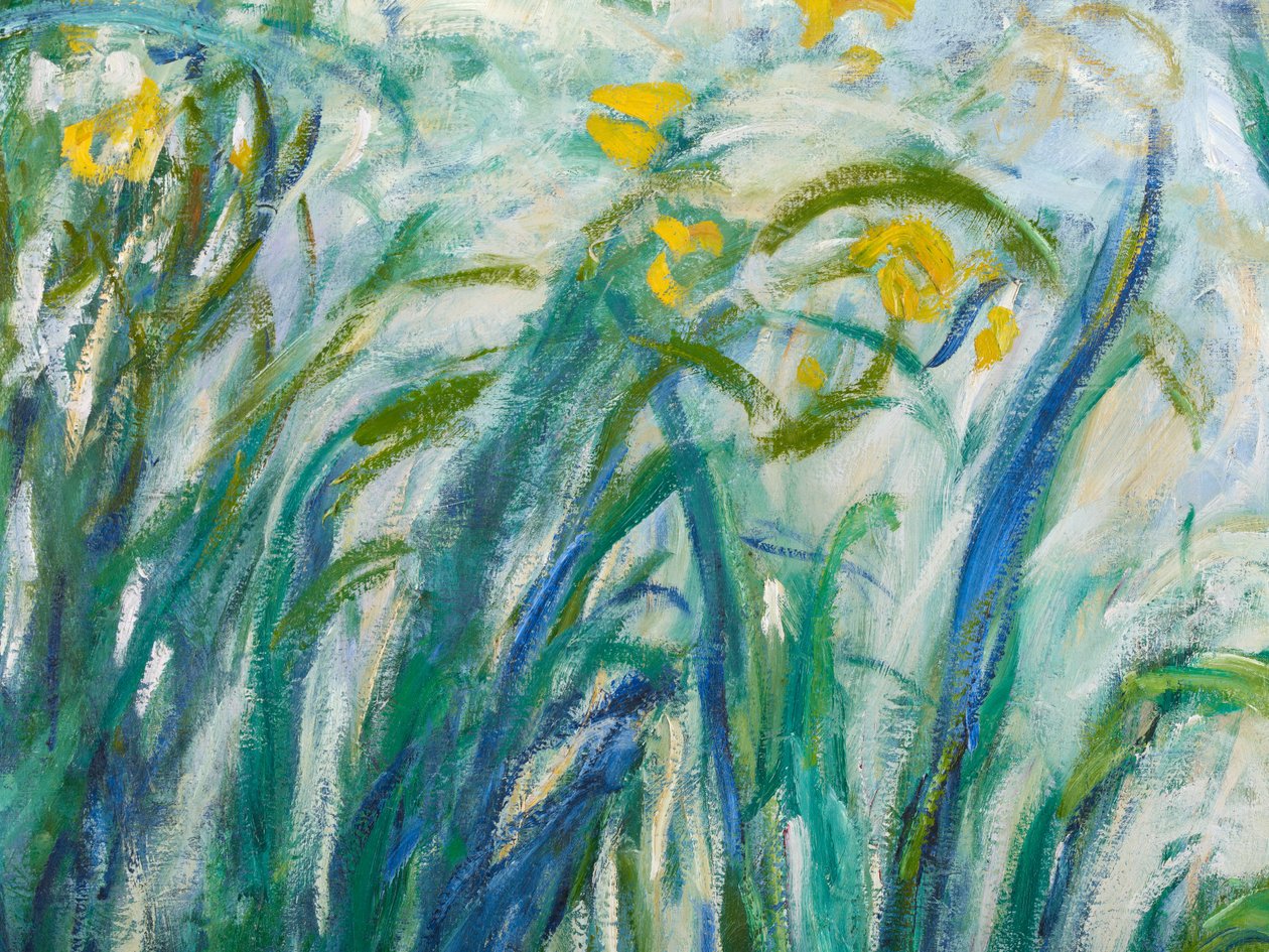 Gule og lilla iriser, 1924-25 detalje af 169490 olie på lærred af Claude Monet