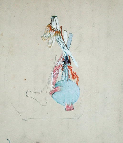 Nervesystemet i hovedet på en kat, 25. maj 1842 (blyant og akvarel på papir) af Claude Bernard