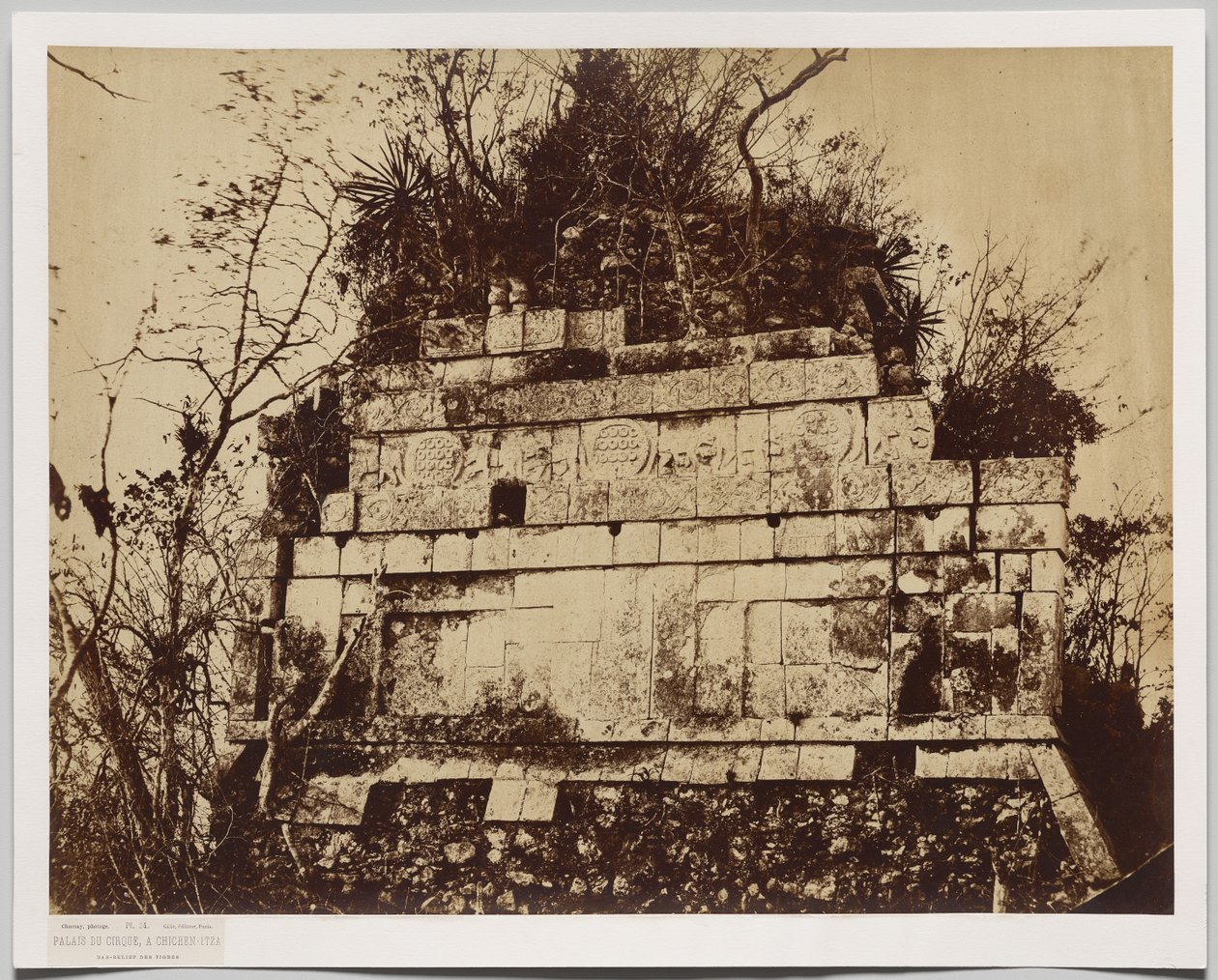 Cirkuspaladset i Chichen-Itza (baseret relief af tigre) af Claude Joseph Désiré Charnay