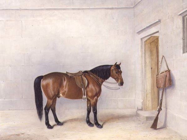 Sadled Bay Shooting Pony af Claude L. Ferneley