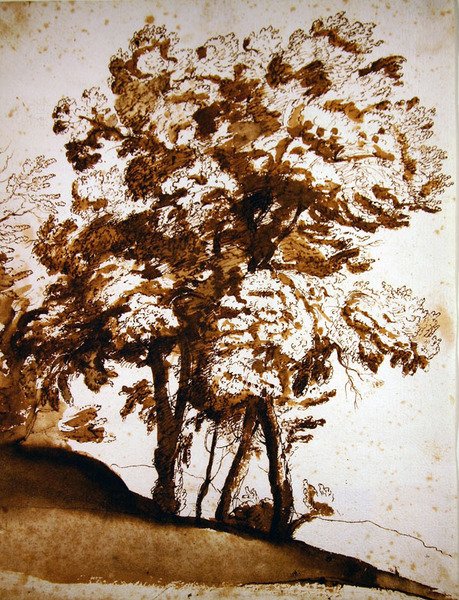 En gruppe træer i sollys (pen & blæk og vask på papir) af Claude Lorrain