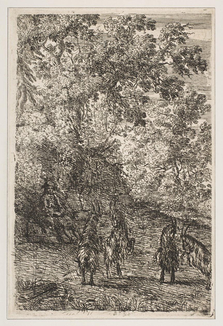 Fire geder venstre sektion af gederne, ca. 1630-33. af Claude Lorrain