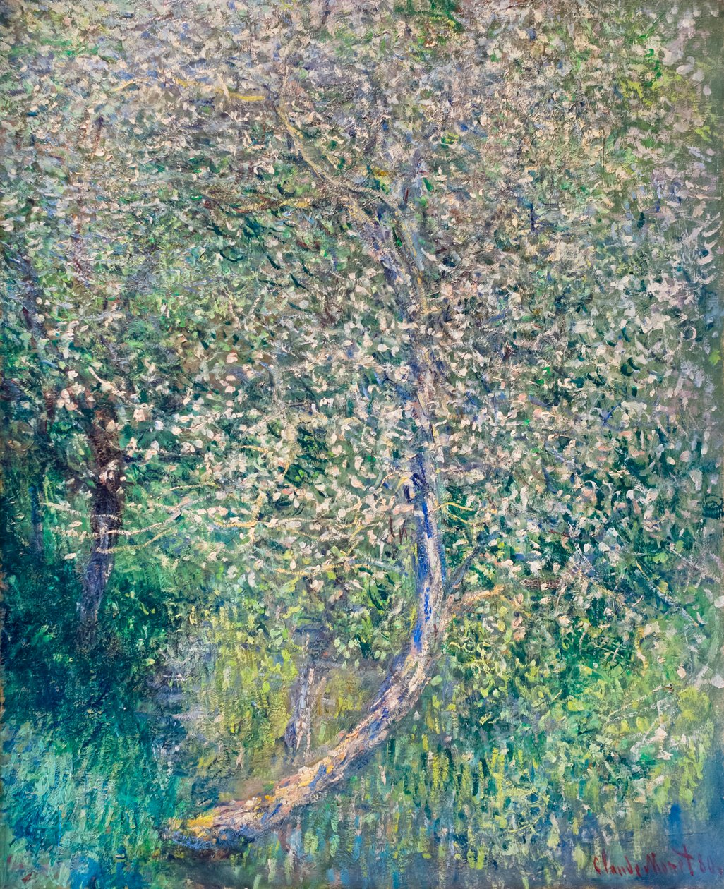 Æbletræer blomstrer i vandkanten af Claude Monet