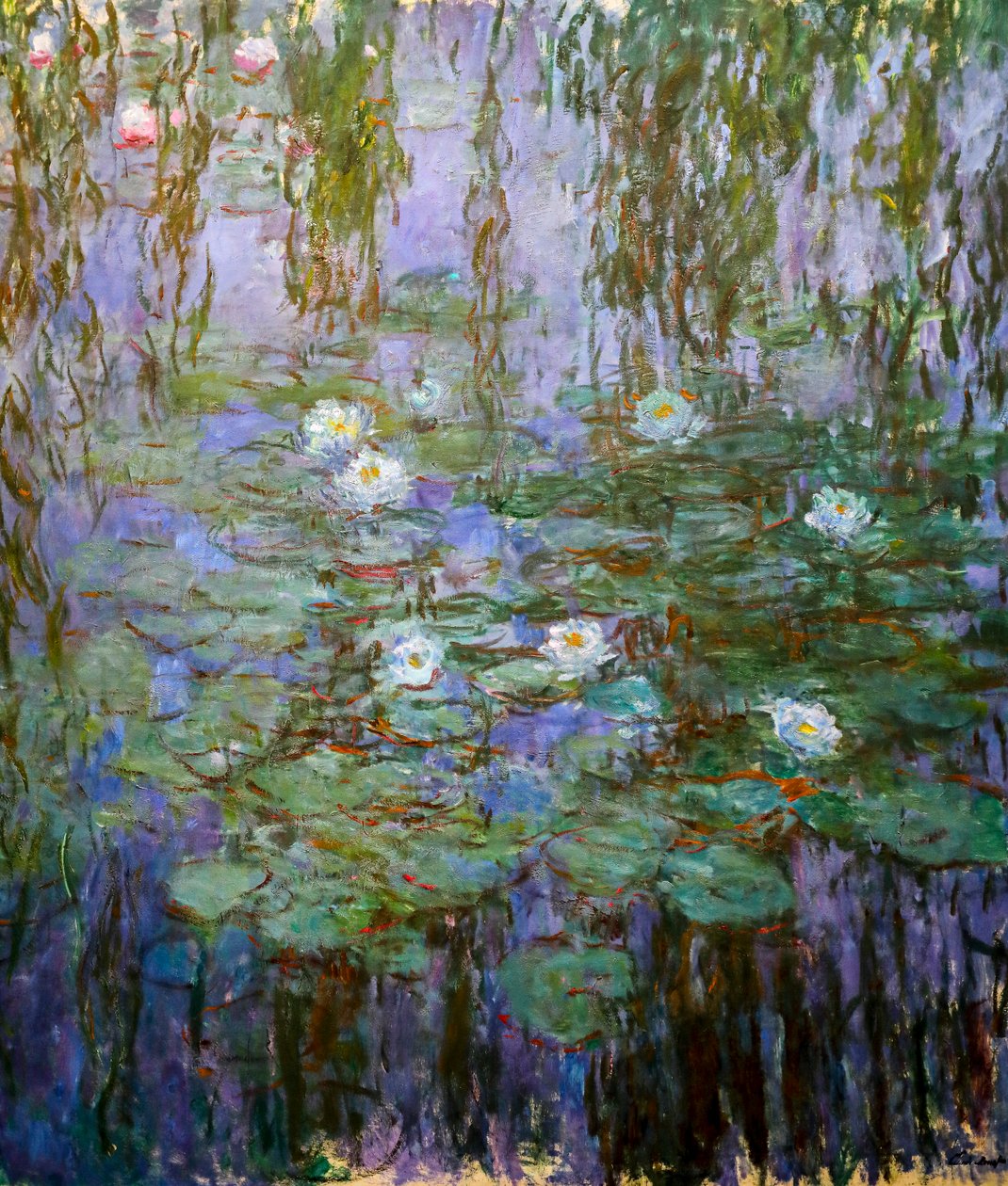 Blå åkander (detaljer) af Claude Monet