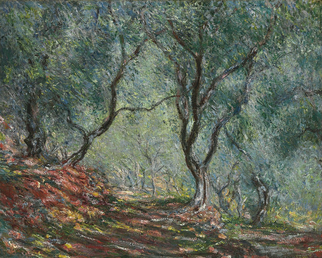 Olivenlund i Moreno-haven, 1884 af Claude Monet
