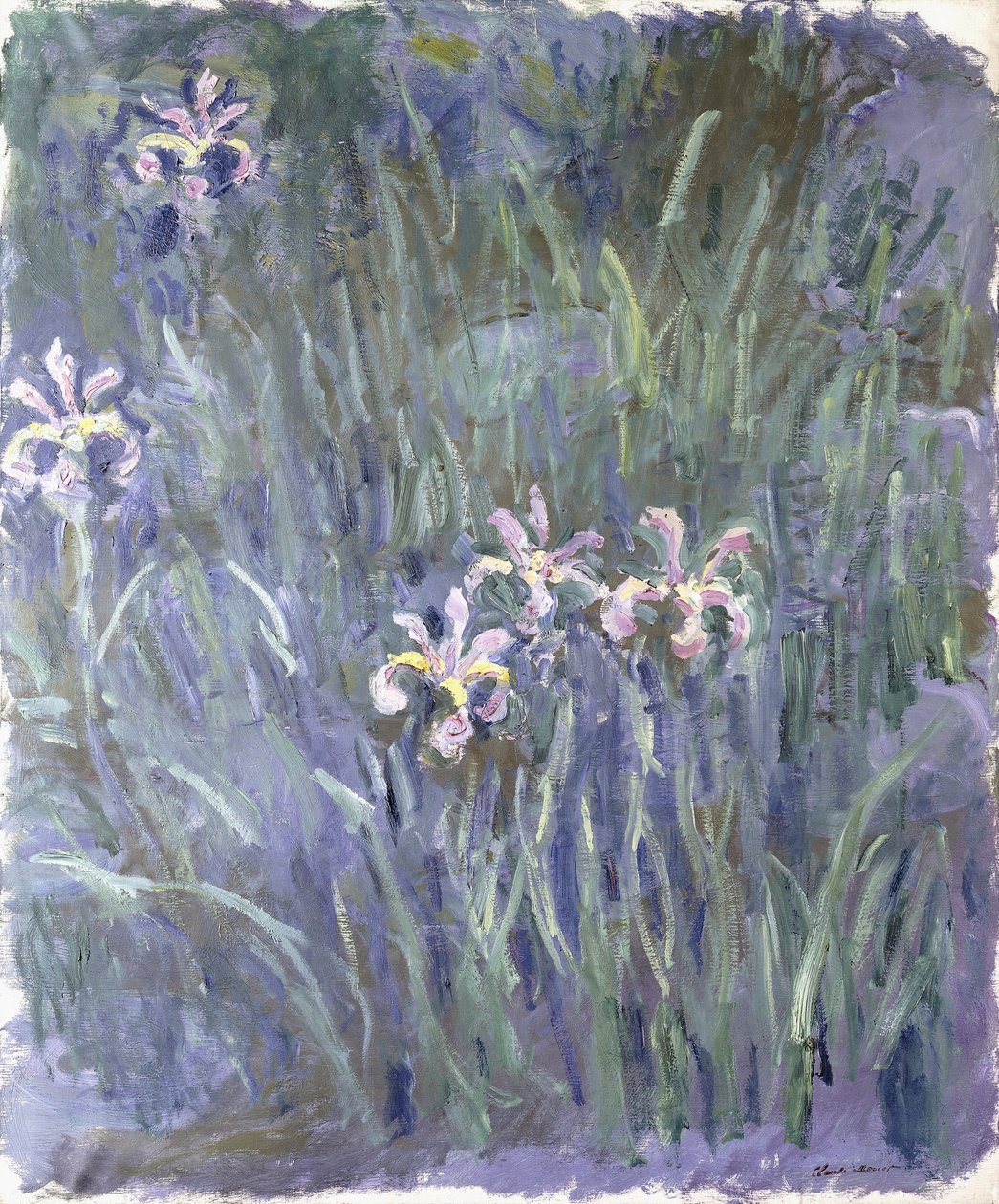 Iris, ca. 1914-1917 af Claude Monet