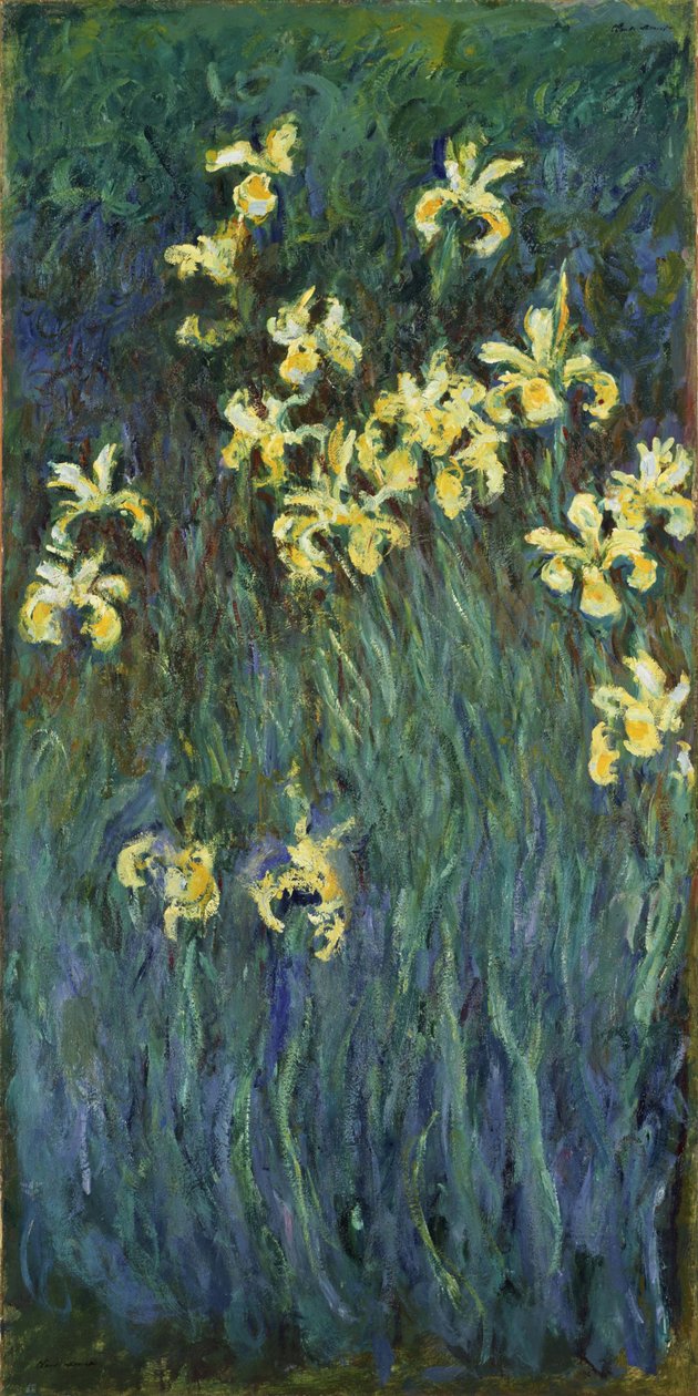 Gule iriser - Maleri af Claude Monet (1840-1926), olie på lærred af Claude Monet