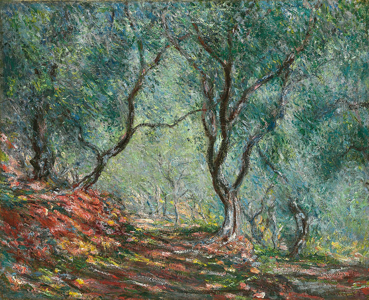 Oliventræer i Moreno-haven; Træ af oliventræer i Moreno-haven, 1884 af Claude Monet