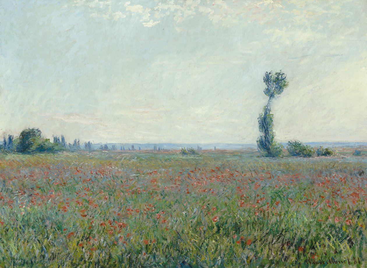 Valmuemark, 1881 af Claude Monet