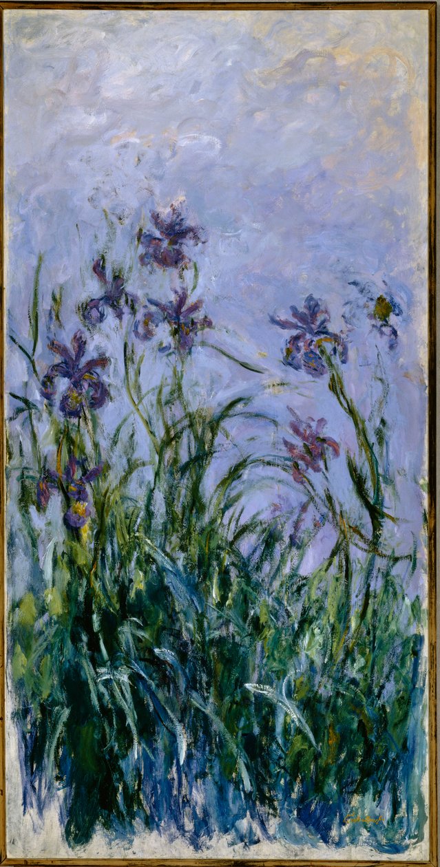 Lilla iris, 1914-17 af Claude Monet